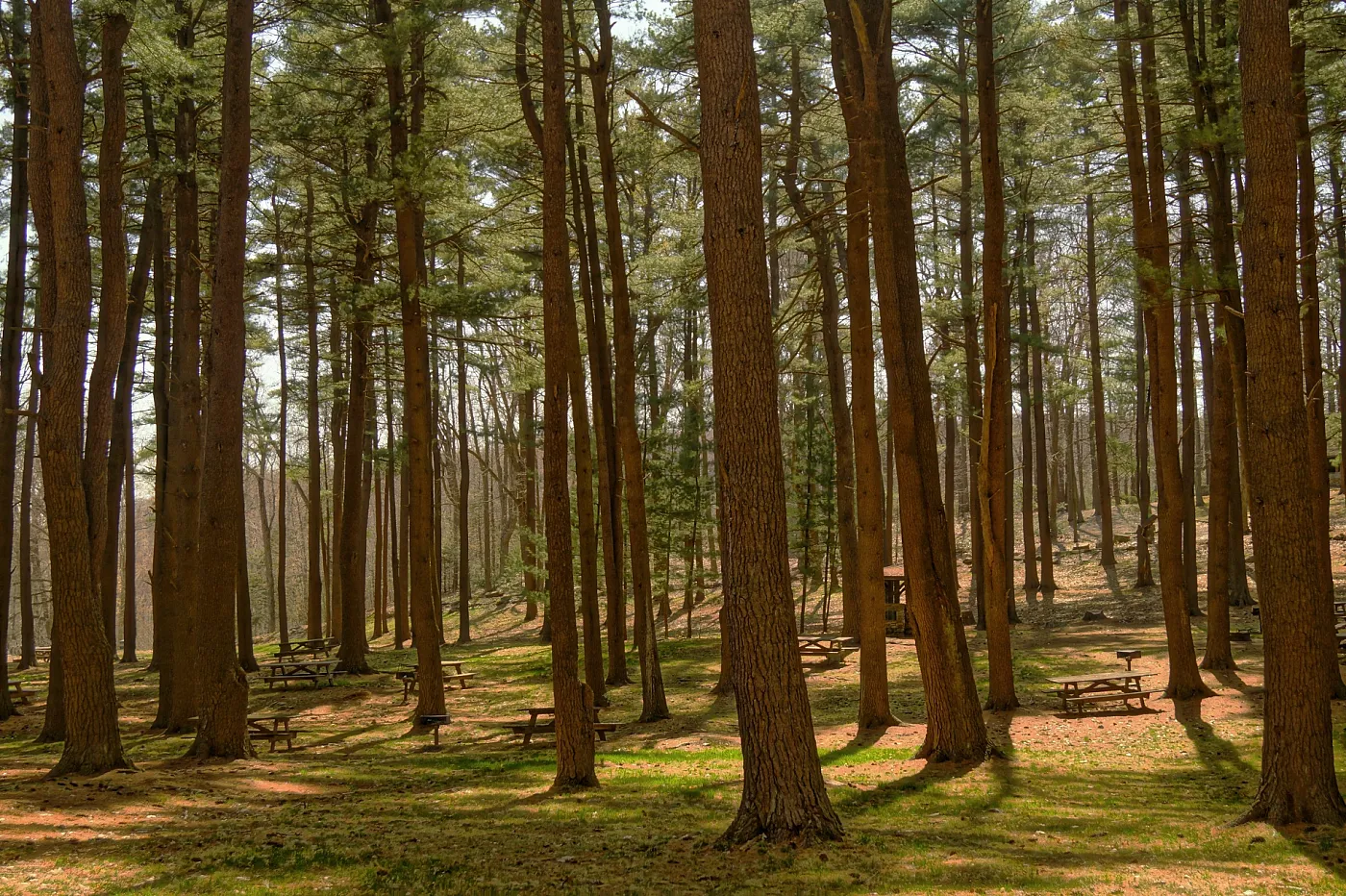 Legal Alert | Parlamento Europeu aprova a Diretiva relativa ao dever de diligência das empresas em matéria de sustentabilidade